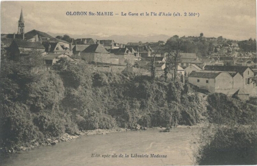 Le Gave d'Oloron et le Pic d'Anie